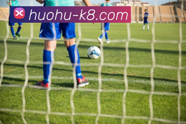 App Interface Preview